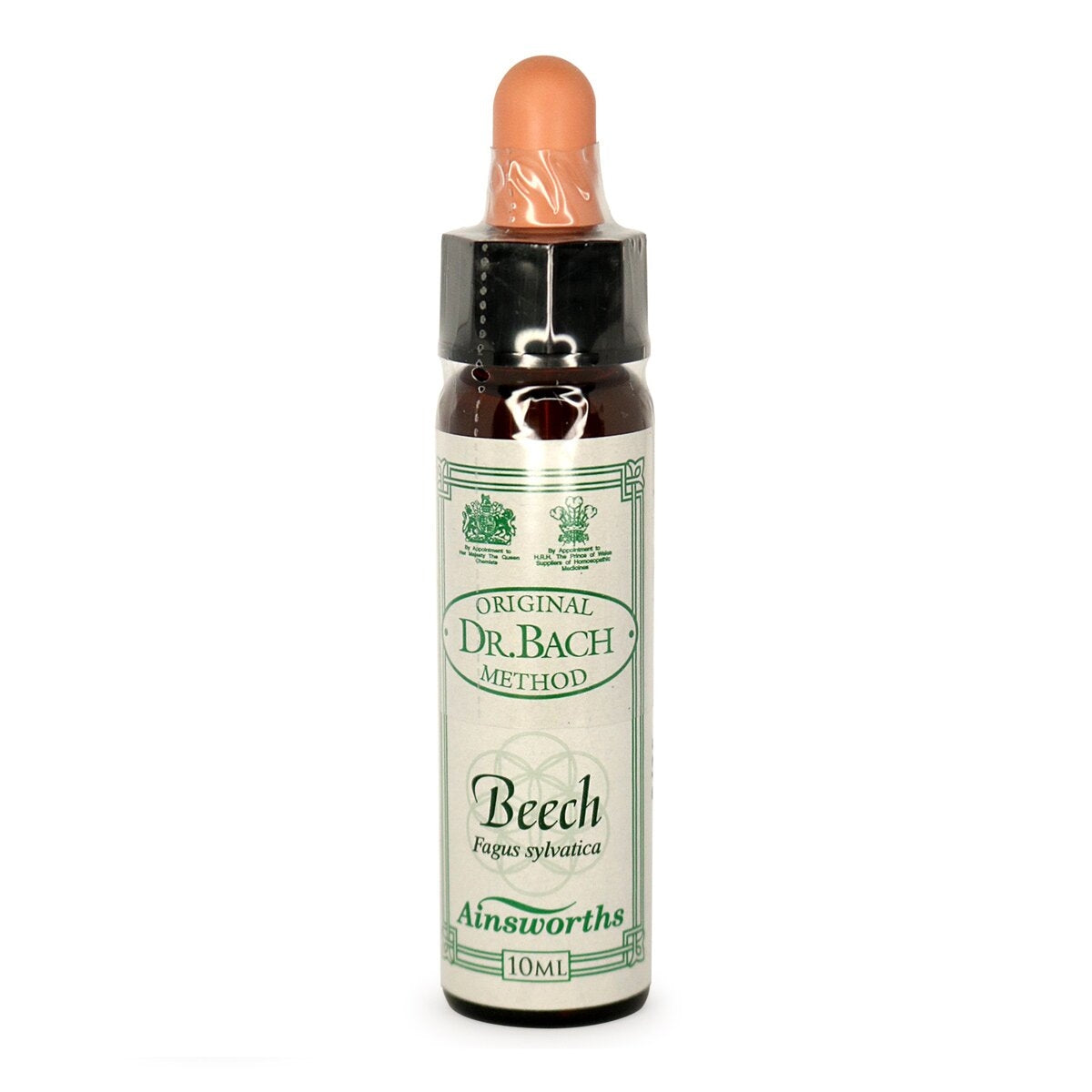 Beech