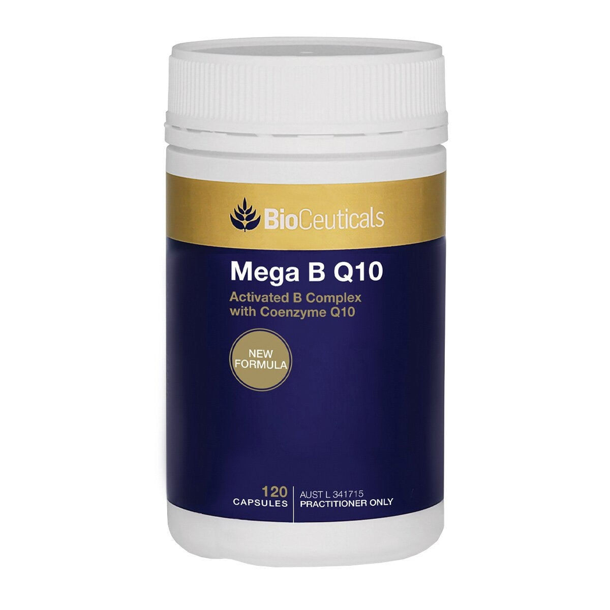 Mega B Q10