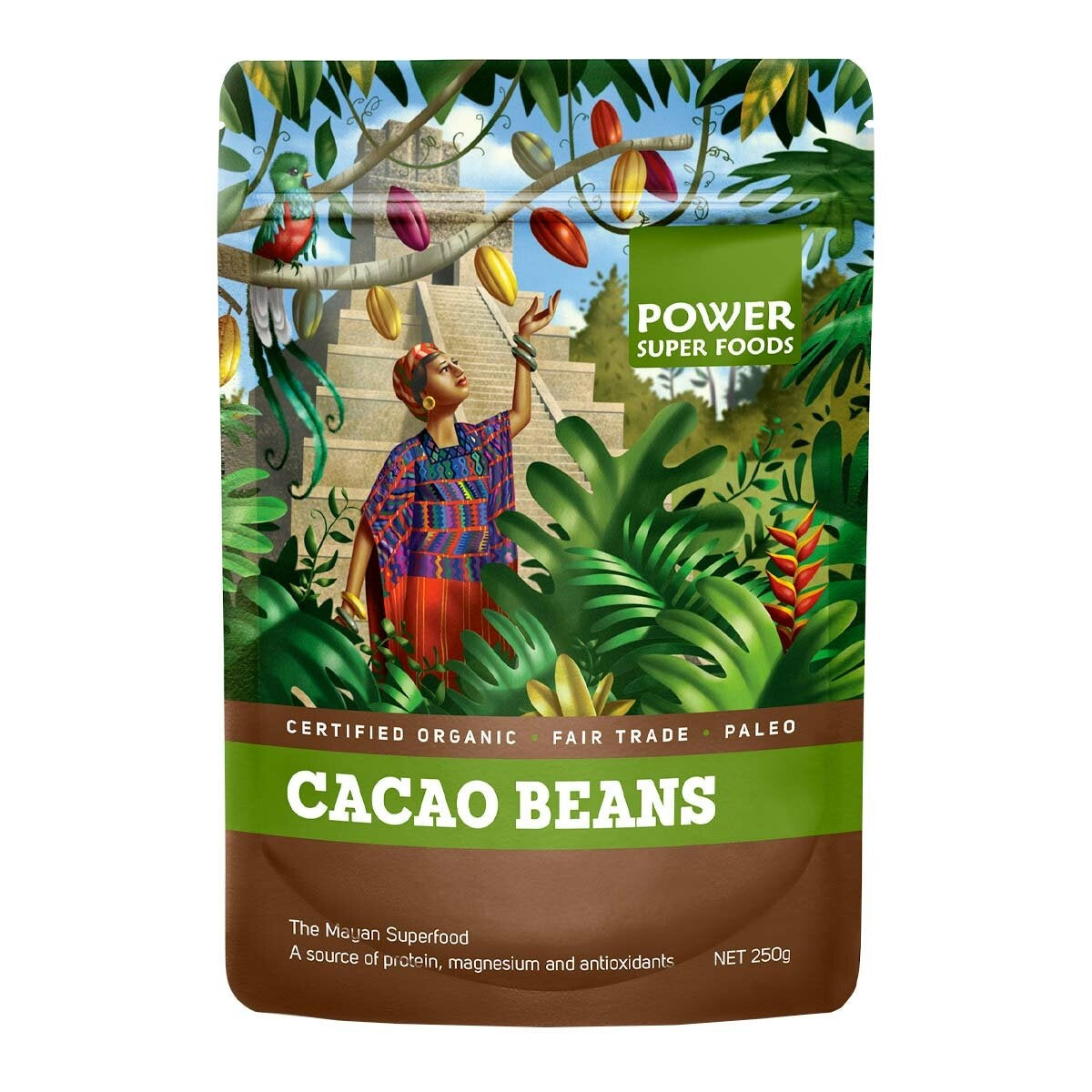 Cacao Beans