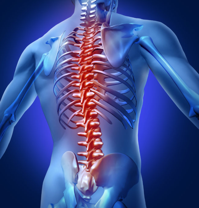How Chronic Pain Develops: Understanding Nerve, Immune, and Nervous-System Links