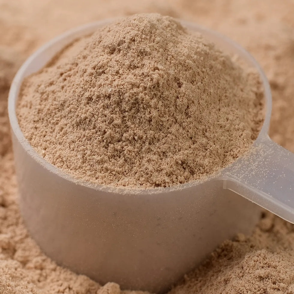 ageLOC® TRMe® Protein (Chocolate)