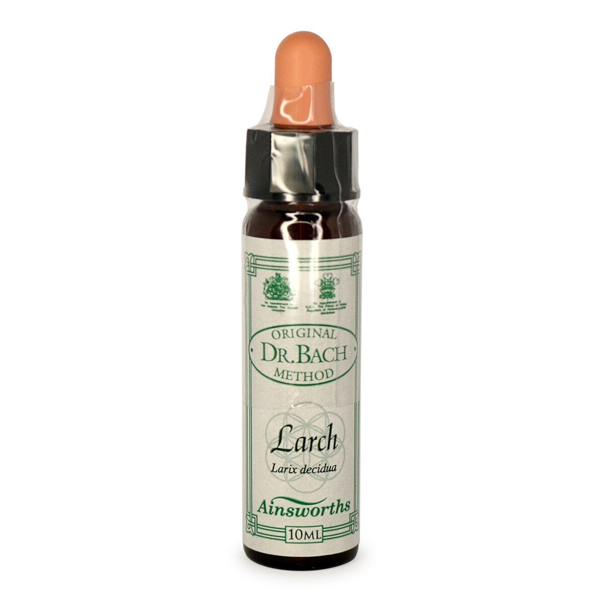 Larch