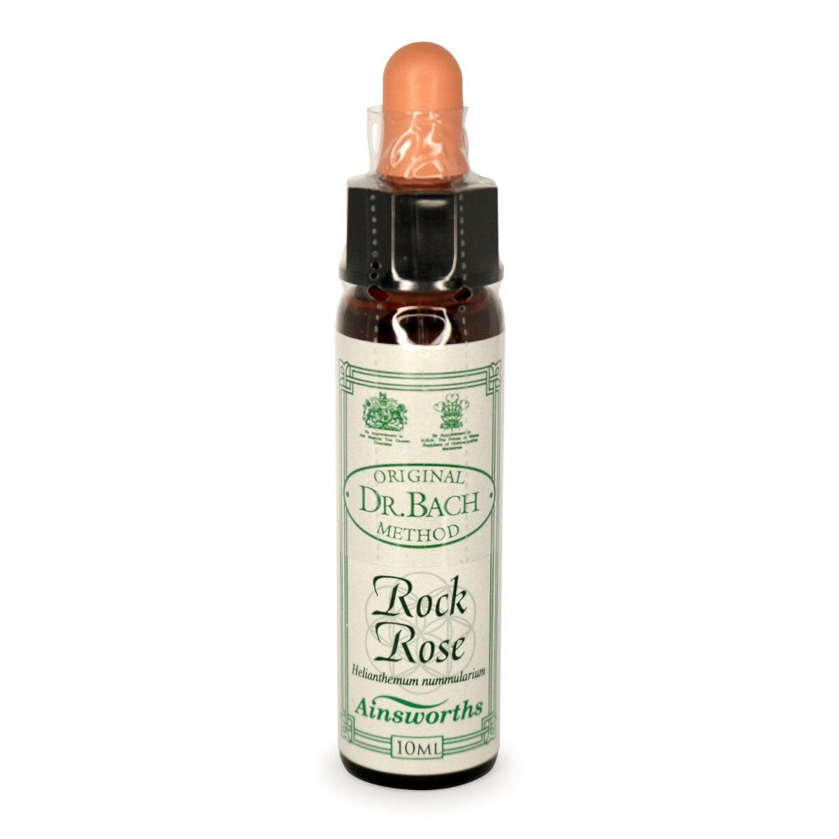 Rock Rose