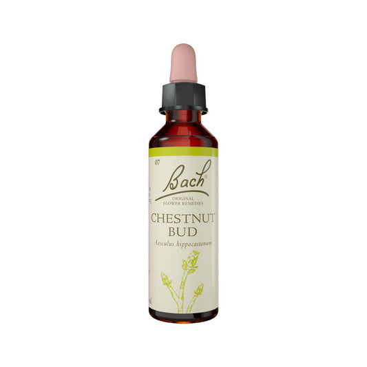 Bach Flower Remedies Bach Flower Remedies Chestnut Bud 20ml
