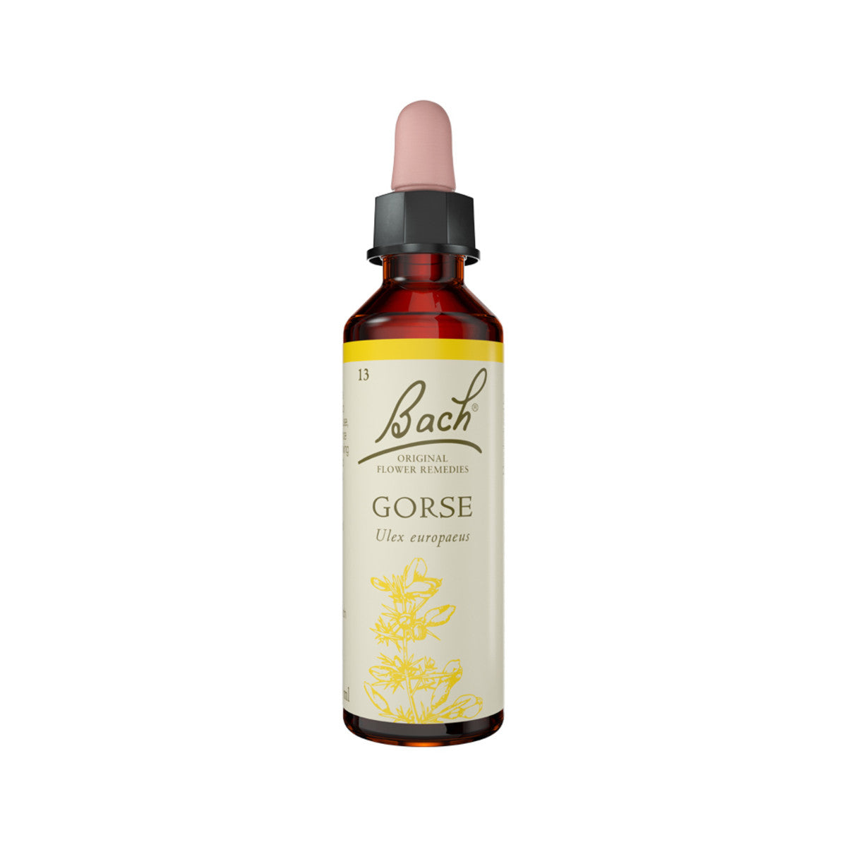Bach Flower Remedies Bach Flower Remedies Gorse 20ml