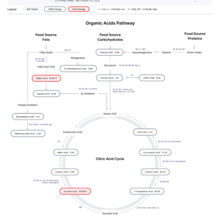 NutriPATH Organic Acids Metabolomic Mapping