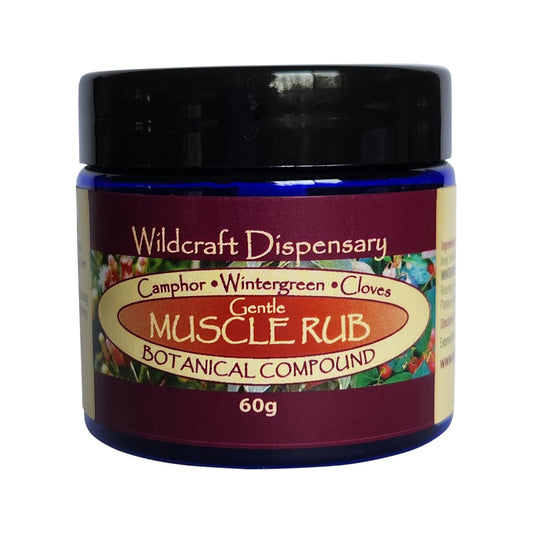 Wildcraft Dispensary Gentle Muscle Rub Herbal Ointment 60g SELL THROUGH NEW SKU 2966335