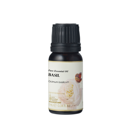 Ausganica Ausganica Organic Essential Oil Basil 10ml