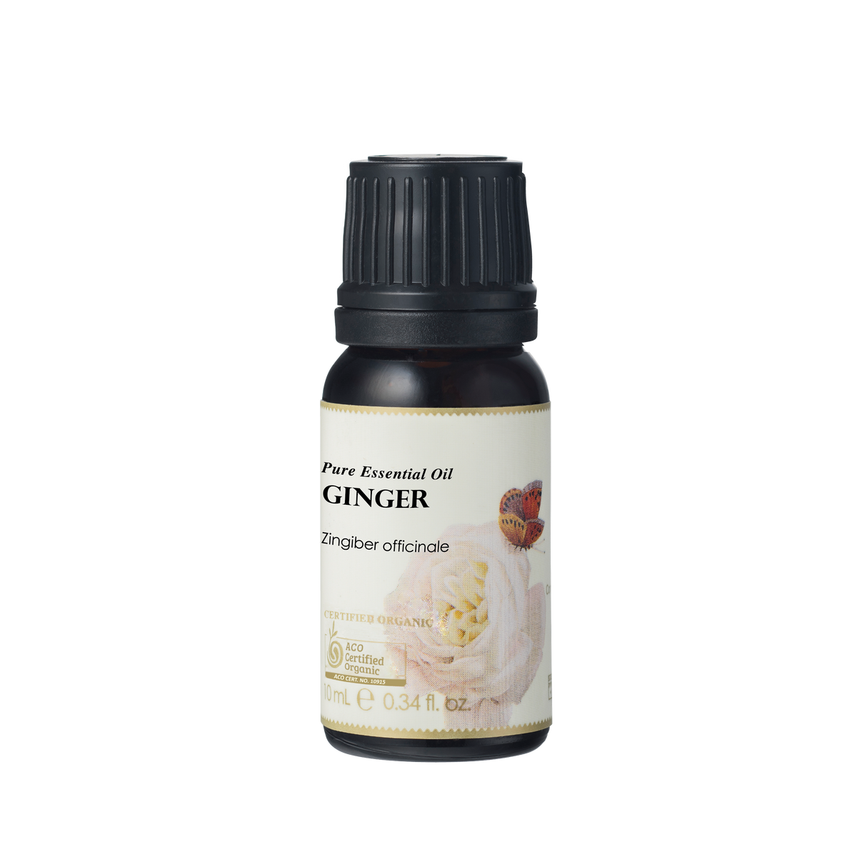 Ausganica Ausganica Organic Essential Oil Ginger 10ml