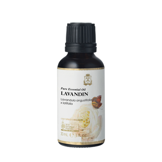 Ausganica Ausganica Organic Essential Oil Lavandin 10ml