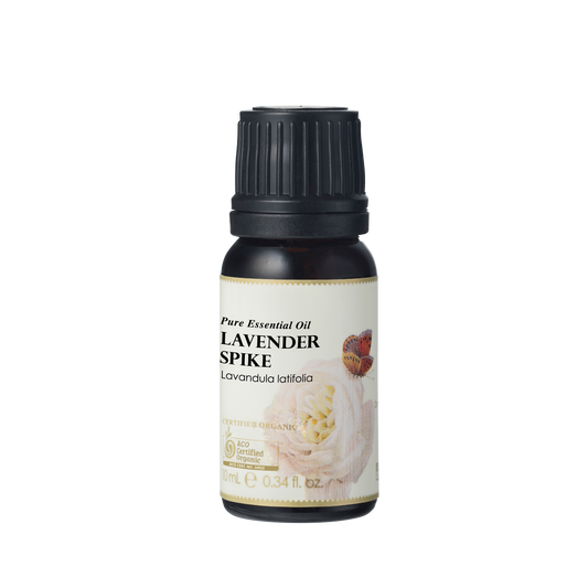 Ausganica Ausganica Organic Essential Oil Lavender Spike 10ml