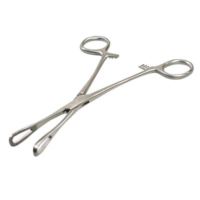 FORCEPS - SPONGE