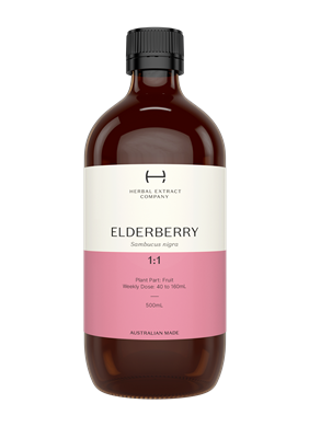 Elderberry 1:1 (Sambucus Nigra)