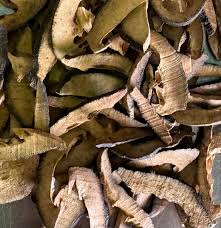 Aurantium Fruit KPC powder - 100g High-Potency