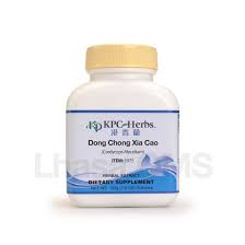 Cordyceps Mycelium - 100g High Potency