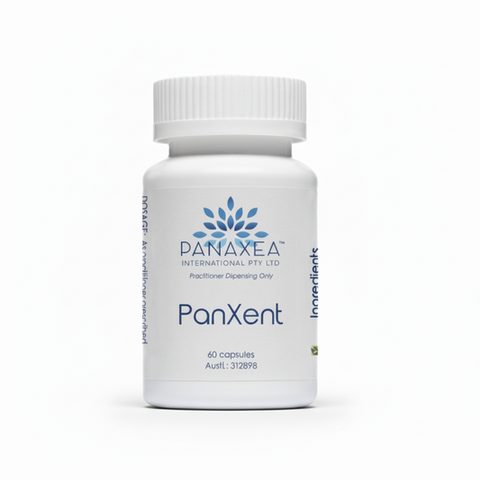 PanXent