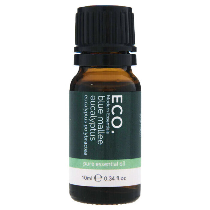 Eco Modern Essentials ECO. Modern Essentials Essential Oil Blue Mallee Eucalyptus 10ml